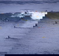 Point Addis Marine National Park - Accommodation Australia