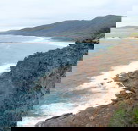 Pretty Beach to Snapper Point Walking Track - Local Tourism
