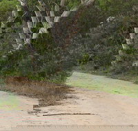 Riverview walking track