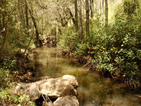 Sandy Creek Track - Accommodation Australia 0