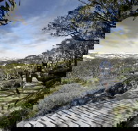 Snow Gums boardwalk - Bed n Breakfasts