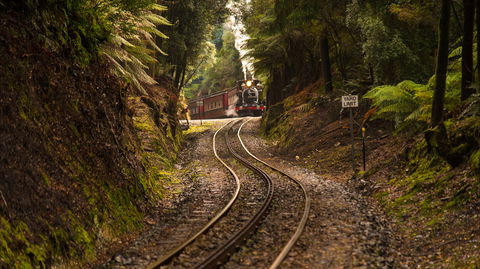 The West Coast Wilderness Way - Local Tourism 0
