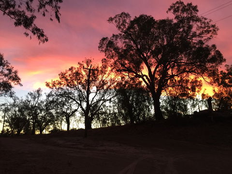 The Historic Barwon Bridge - Australia Shopping 1