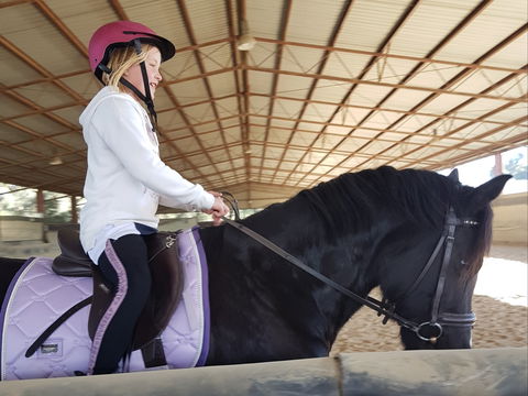 The Equine Club - Local Tourism 1
