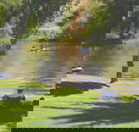 The Lions Junction Park - Tumut - Accommodation Australia