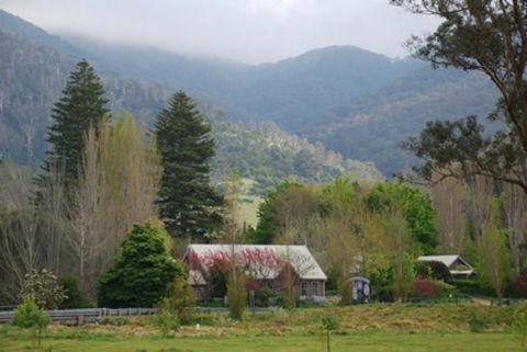 Tilba Tilba - Bed n Breakfasts 0