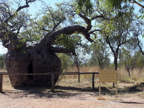 Time Walk, Windjana Gorge National Park - Accommodation Australia 2