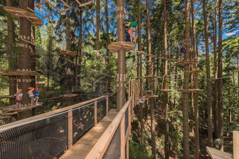 TreeTops Sydney The Hills - Accommodation Australia 0