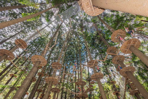 TreeTops Sydney The Hills - Accommodation Australia 1