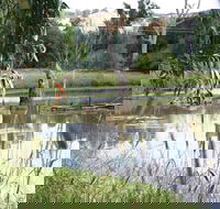 Tumut Wetlands - Accommodation Australia