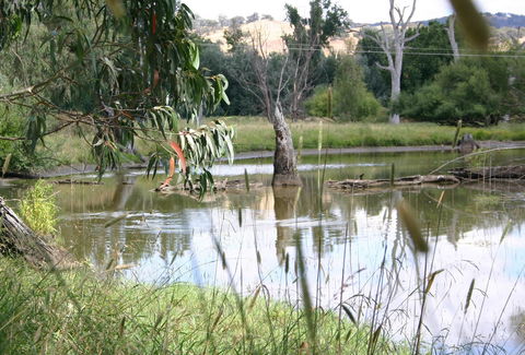Tumut Wetlands - Accommodation Australia 0