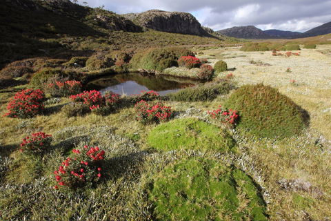 Walls Of Jerusalem National Park - Local Tourism 1