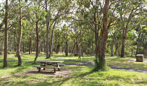 Wollomombi Gorge And Falls Picnic Area - Local Tourism 0