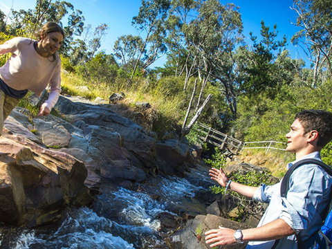 Yackandandah Gorge Scenic Walk - Accommodation Australia 0