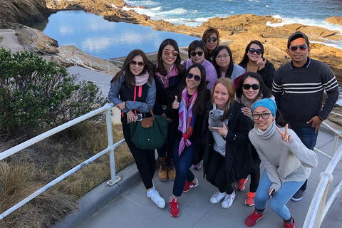 Sapphire Coast Highlights Tour (private Tour From Port Of Eden) - Accommodation Australia 5