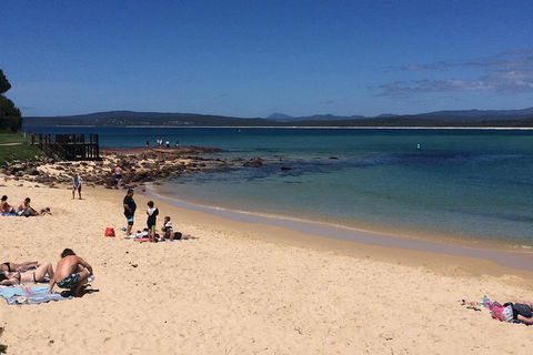 Sapphire Coast Highlights Tour (private Tour From Port Of Eden) - Accommodation Australia 1
