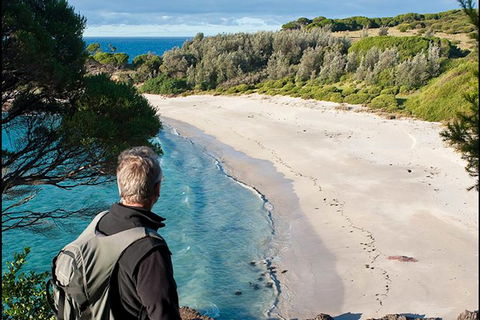 Sapphire Coast Highlights Tour (private Tour From Port Of Eden) - Accommodation Australia 14