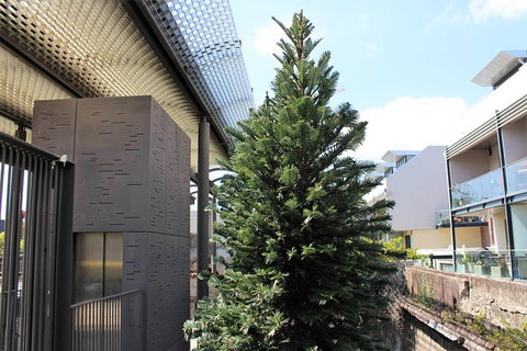 Eastern Suburbs Of Sydney, Woolloomooloo And Barangaroo - Local Tourism 11