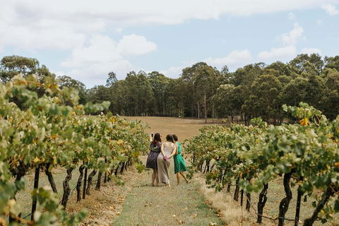 Hunter Valley Premium Food & Drink Pairing Tour - Local Tourism 5