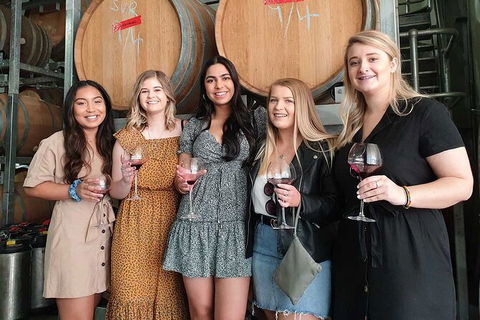 Hunter Valley Wine Tour From The Hunter With Wine Craft Beer Cheese Chocolate - Local Tourism 1