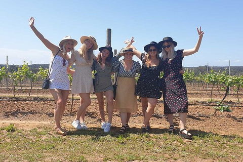 Hunter Valley Wine Tour From The Hunter With Wine Craft Beer Cheese Chocolate - Local Tourism 10