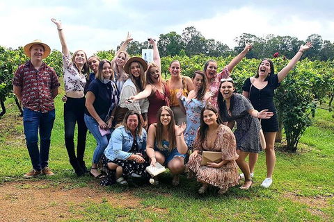 Hunter Valley Wine Tour From The Hunter With Wine Craft Beer Cheese Chocolate - Local Tourism 6