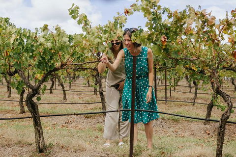 Lovedale & North Pokolbin, Hunter Valley Hop-On And Hop-off Bus Tour - Local Tourism 4