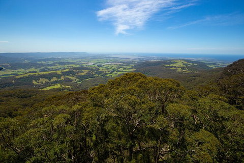 Illawarra Fly Treetop Adventures Treetop Walk Admission Ticket - Australia Shopping 6