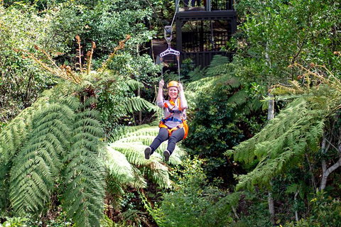 Illawarra Fly Treetop Adventures Treetop Walk Admission Ticket - Australia Shopping 2