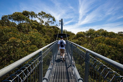 Illawarra Fly Treetop Adventures Treetop Walk Admission Ticket - Australia Shopping 0