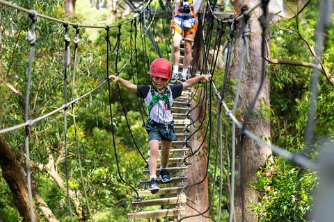 Illawarra Fly Treetop Adventures Treetop Walk Admission Ticket - Australia Shopping 3