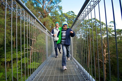 Illawarra Fly Treetop Adventures Treetop Walk Admission Ticket - Australia Shopping 7