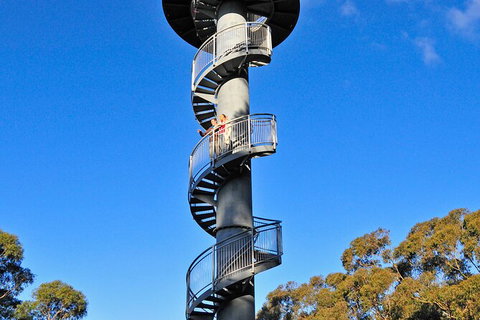 Illawarra Fly Treetop Adventures Treetop Walk Admission Ticket - Australia Shopping 5