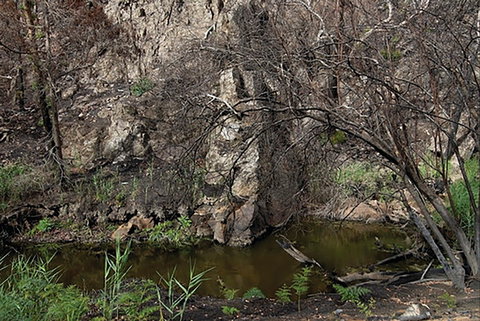 Brisbane Ranges National Park - Accommodation Australia 0