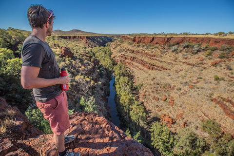 Gorge Rim Walk, Dales Gorge - Accommodation Australia 0