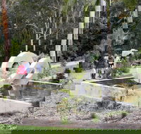 Maroochy Regional Bushland Botanic Garden - Accommodation Australia
