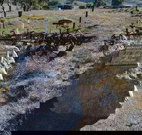 Wangaraleednie Monument  Ruins - Australia Shopping