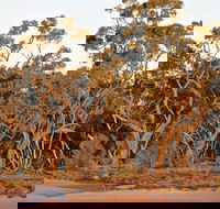 Yawura Yarun - Accommodation Australia