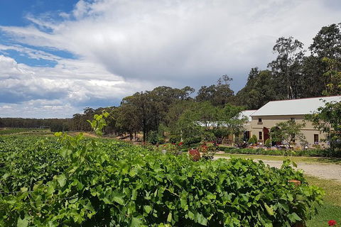 Tintilla Estate: Wine Tasting With A Meat And Cheese Platter - Local Tourism 5