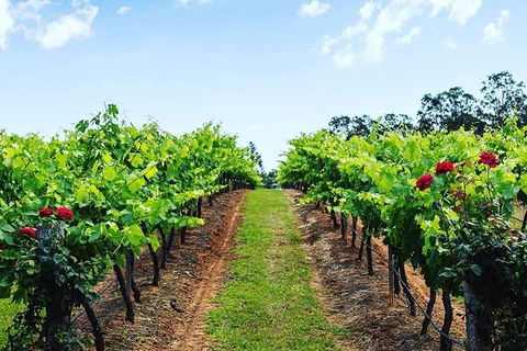 Tintilla Estate: Wine Tasting With A Meat And Cheese Platter - Local Tourism 0
