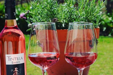 Tintilla Estate: Wine Tasting With A Meat And Cheese Platter - Local Tourism 6