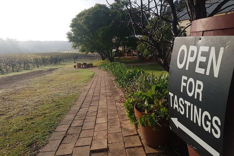 Tintilla Estate: Wine Tasting With A Meat And Cheese Platter - Local Tourism 3