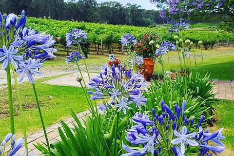 Tintilla Estate: Wine Tasting With A Meat And Cheese Platter - Local Tourism 4