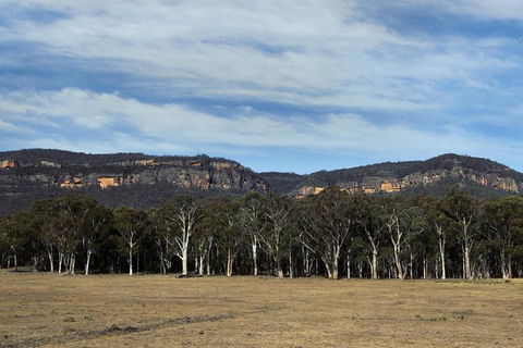 Deluxe Blue Mountains And Megalong Valley - Accommodation Australia 3