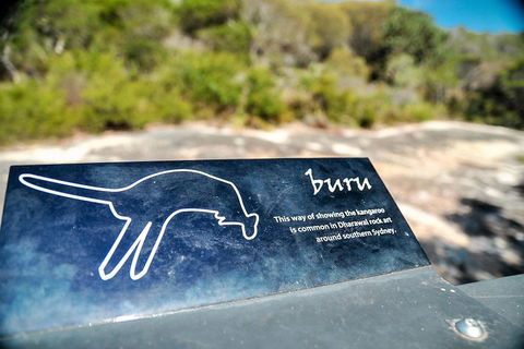 Kiama SouthCoast Uncovered, Beaches, Bush & Sunset PRIVATE Full Day Tour - Accommodation Australia 2
