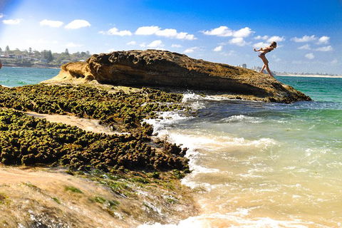 Kiama SouthCoast Uncovered, Beaches, Bush & Sunset PRIVATE Full Day Tour - Accommodation Australia 1