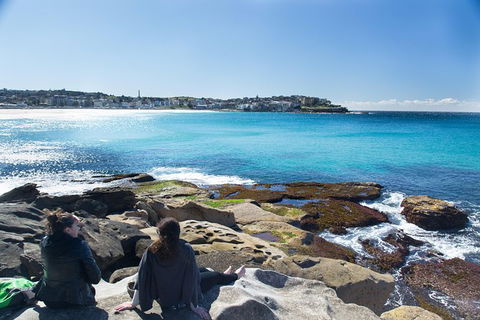 Kiama SouthCoast Uncovered, Beaches, Bush & Sunset PRIVATE Full Day Tour - Accommodation Australia 11