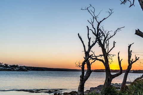 Kiama SouthCoast Uncovered, Beaches, Bush & Sunset PRIVATE Full Day Tour - Accommodation Australia 4
