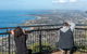 Kiama SouthCoast Uncovered, Beaches, Bush & Sunset PRIVATE Full Day Tour - thumb 12
