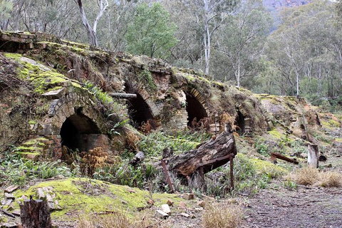 Newnes Ruins Walking Tour - Local Tourism 1
